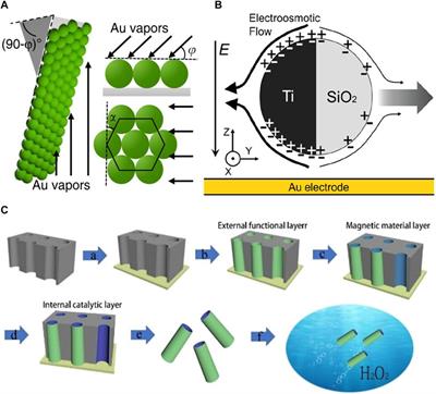 Current status and future application of electrically controlled micro/nanorobots in biomedicine